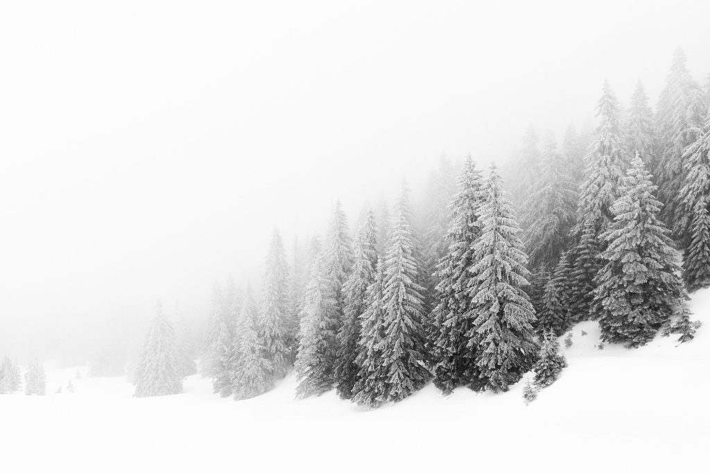 Smrekovica_winter Smrekovica_winter